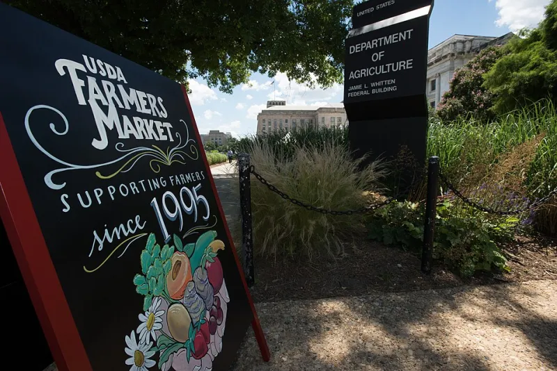 Eating With the Season: How Merritt Bakery Lets California's Agricultural Calendar Write the Menu