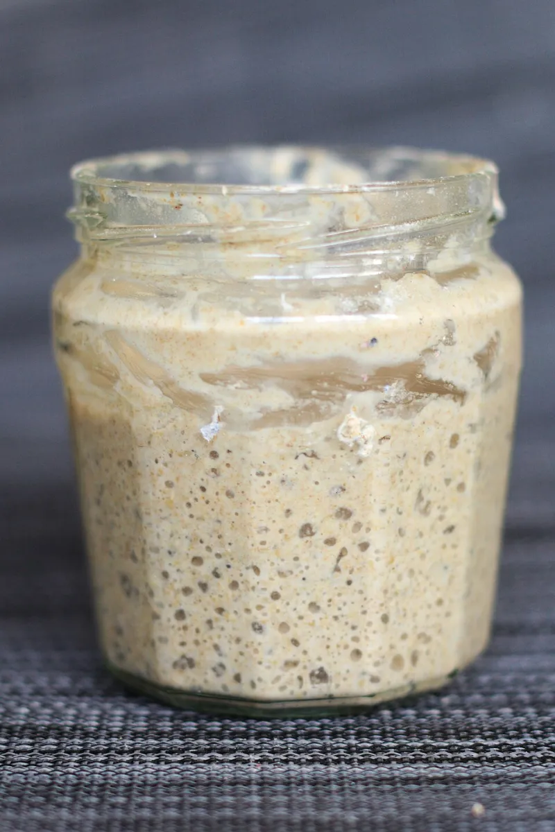 Alive and Hungry: What Oakland's Climate Teaches You About Feeding a Sourdough Starter