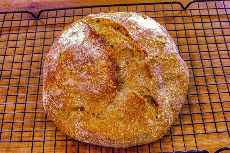 Why Oakland Air Makes Your Sourdough Sing: The Atmospheric Science Behind Our Crackling Crust