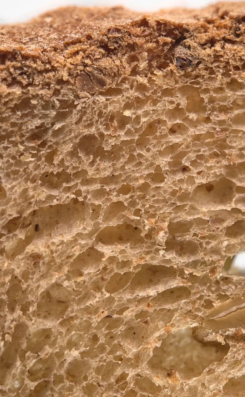 What's in the Water: How Oakland's Unique Mineral Profile Quietly Shapes Every Loaf We Bake